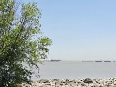 -上海吴淞炮台湾国家湿地公园