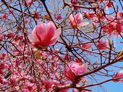 -常熟路(地铁站)