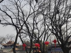 -北京国子监胡同