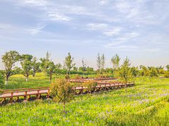 -汉长安城未央宫国家考古遗址公园