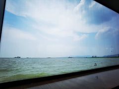 -滕州微山湖红荷湿地景区