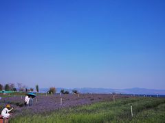 -抚仙湖禄充风景区