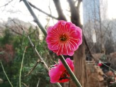 -木塔寺遗址生态公园