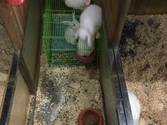 -上海大自然野生昆虫馆(东方明珠·爬宠昆虫探索中心)