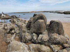 -日照灯塔风景区