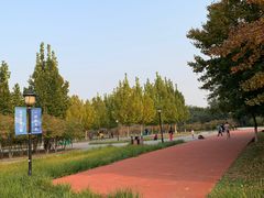 -永定河休闲森林公园