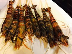 -鲜入围煮花胶鸡海鲜火锅