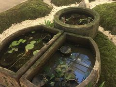 -浮何烤铺(桐梓林店)