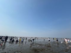 -碧海金沙