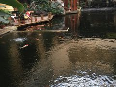 -顺景温泉