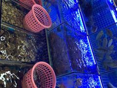 -西涌国际滨海旅游区