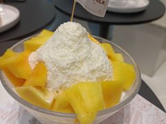 -ICEPOPO MILK(玉兰店)