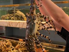 -榕树下海鲜馆(坪山路店)