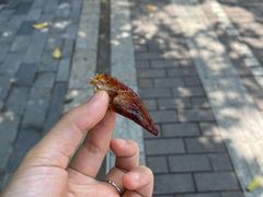 翅尖-天美汇鸡翅包饭(来福士广场店)