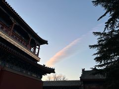 -北京艺术博物馆(万寿寺)