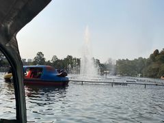 -桂湖森林公园