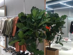-ZARA(大上海时代广场店)