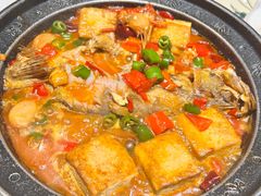 -阿露佳·舌尖上的安吉菜