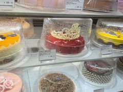 -哈根达斯(深圳海岸城店)