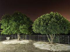 -金水泊山庄·花椒鸡(铁山坪店)