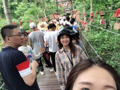 -呀诺达热带雨林