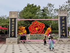 -曹州牡丹园