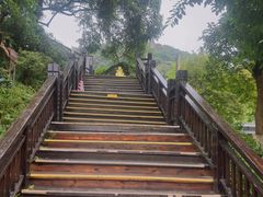 -天鹿湖森林公园