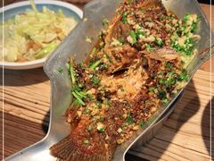 -树厨贵州菜(大十字店)