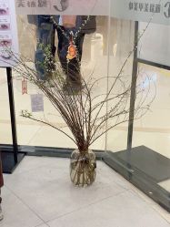 -鲸彩·美甲美睫科技护肤