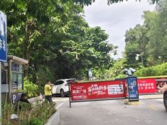 -南宁南湖公园