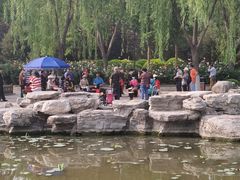 -莲花池公园