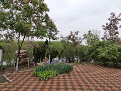 -大港湿地公园