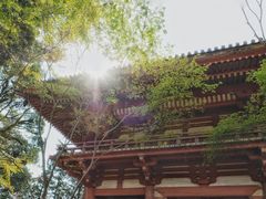 -醍醐寺