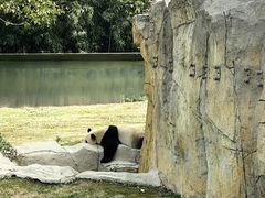 -上海野生动物园