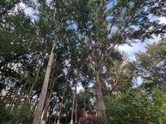 -西宁市人民公园(城西区)