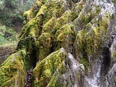 -梭布垭石林景区