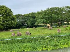 -宁波野生动物园