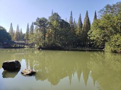 -宝岩生态观光园