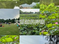 -东湖磨山景区