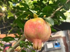 -后海16号·北京私房菜