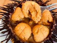 -海胆小馆(东北水饺·春柳店)