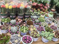 -大润发(张江店)