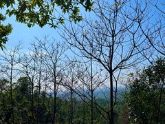 -火炉山森林公园