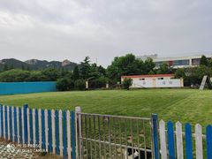-趣玩宠物乐园寄养训犬训狗游泳池