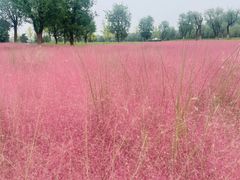 -汉长安城未央宫国家考古遗址公园