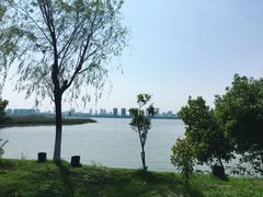 -艾溪湖湿地公园