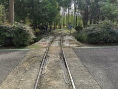 -合肥滨湖国家森林公园