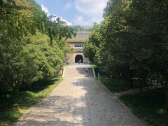 -灵谷景区