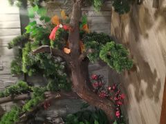 -破瓦寒窑·地摊烤羊排