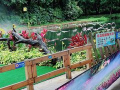 -广州长隆飞鸟乐园